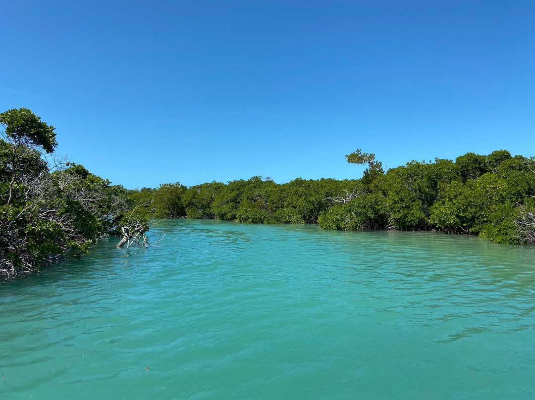 Native Guidance-Sugarloaf必去景点
