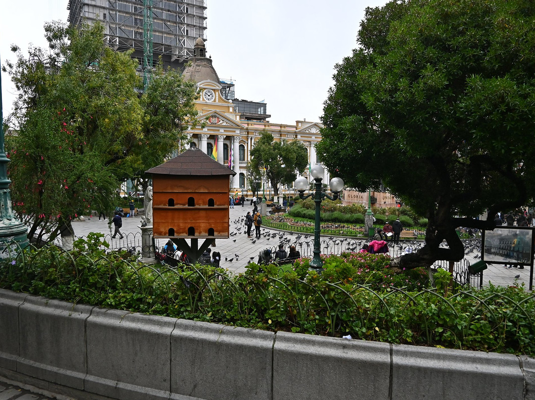 Plaza Murillo-拉巴斯必去景点