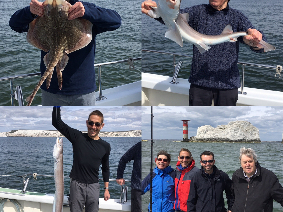 Greg Pitt Sea Fishing-Milford on Sea必去景点