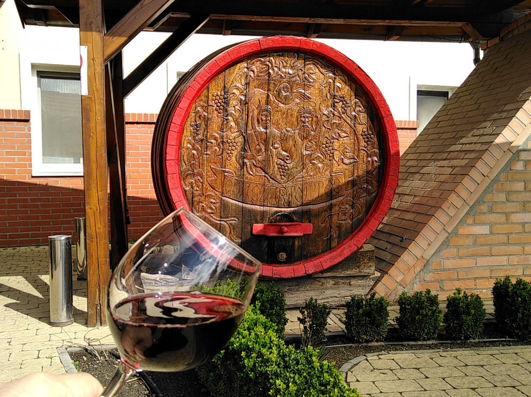 Pincelakat Borhaz es Szalloda主图