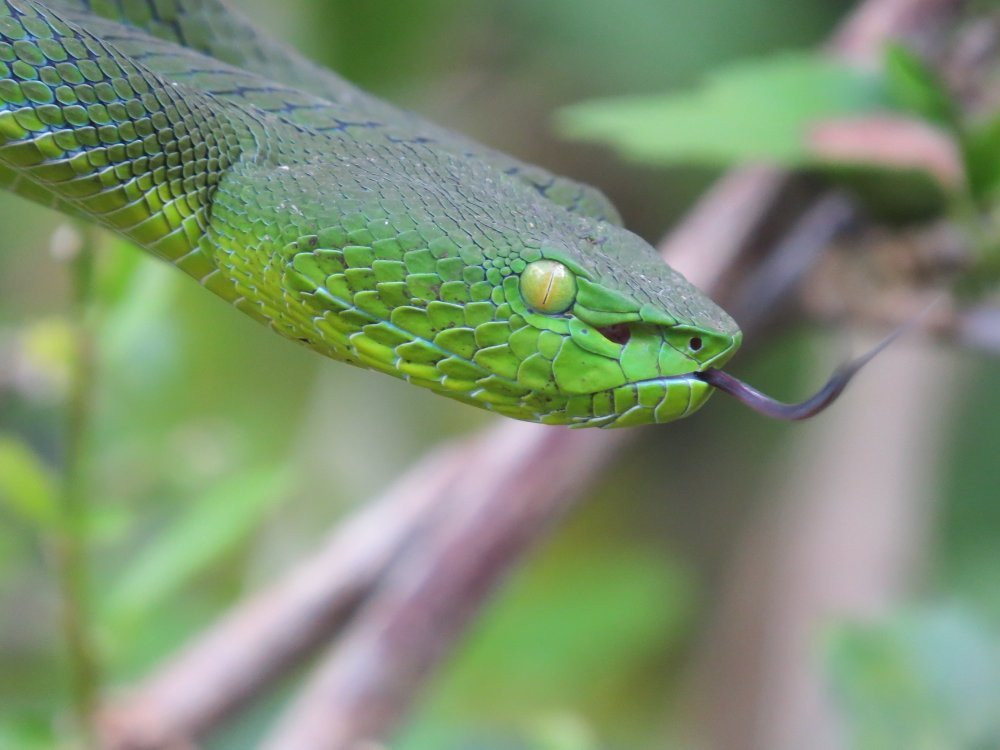 Stephen's Place B&B主图