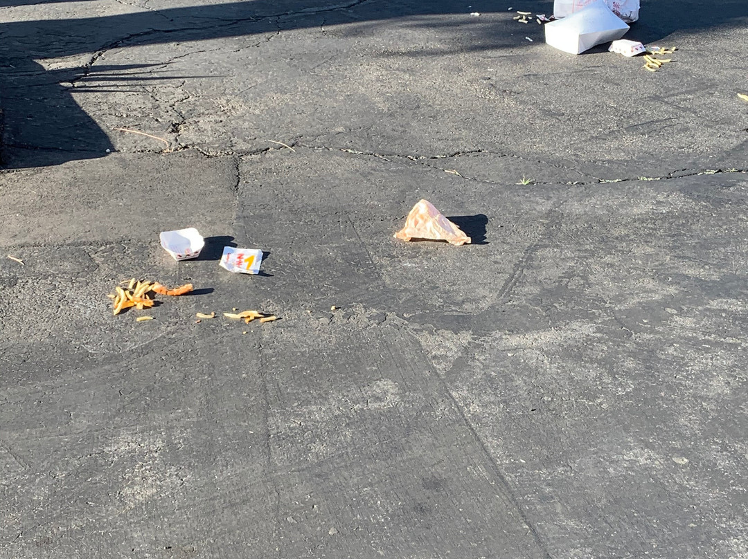 西柯维纳假日酒店主图