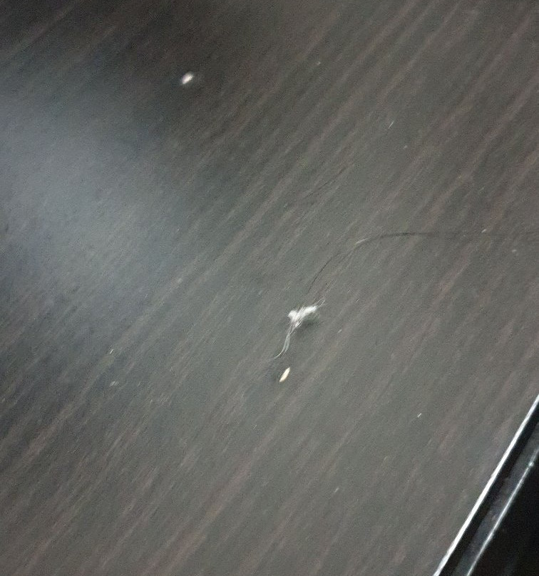 格林威治酒店主图