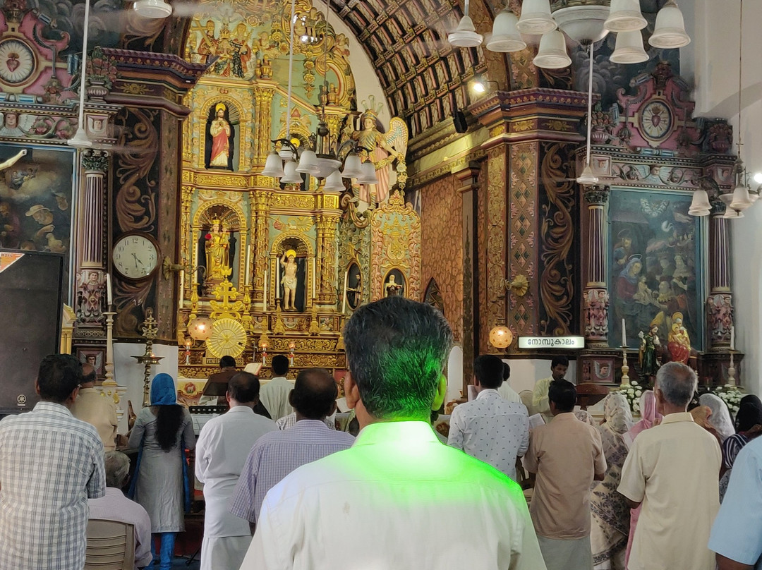 Sunsets and Palm Trees主图