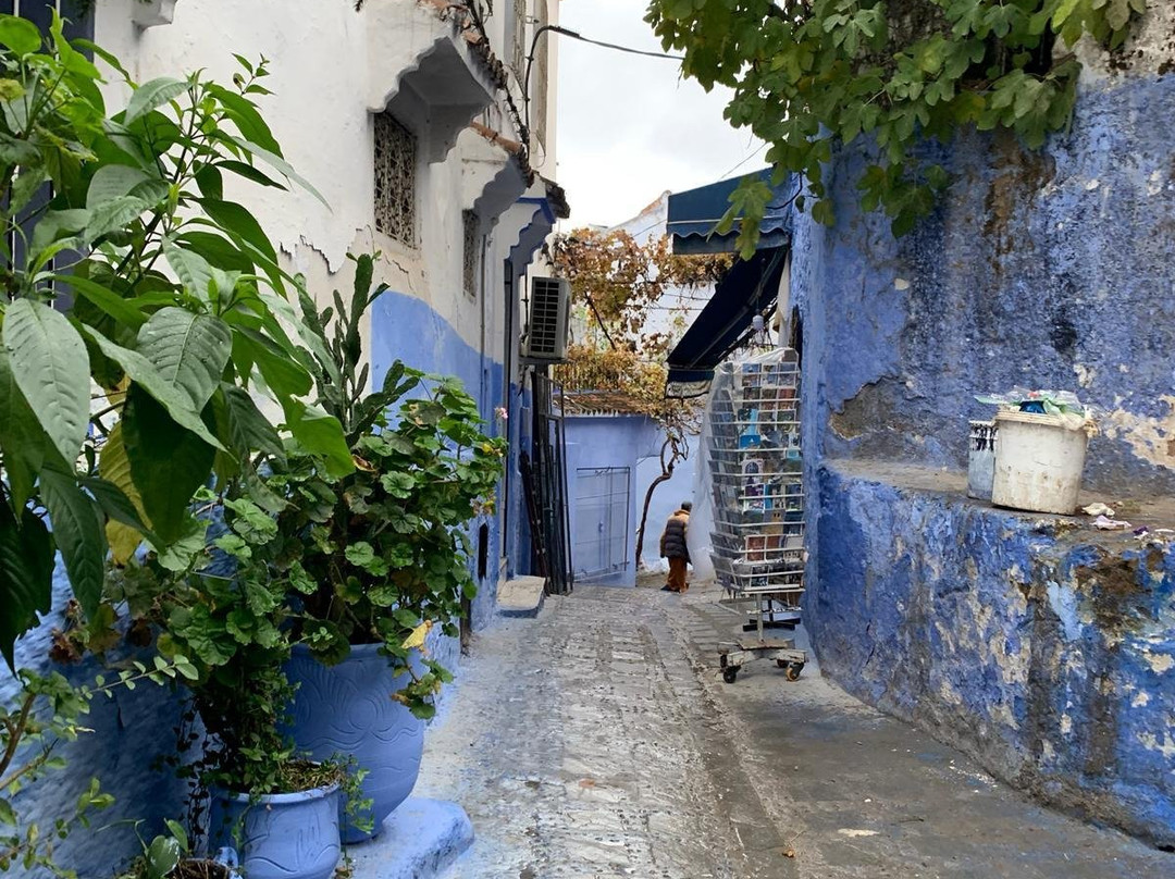 Nytny Tours-瓦尔扎扎特必去景点