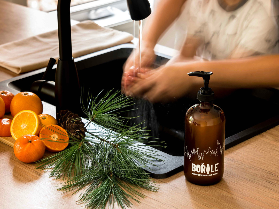 Godbout旅游景点-Borale