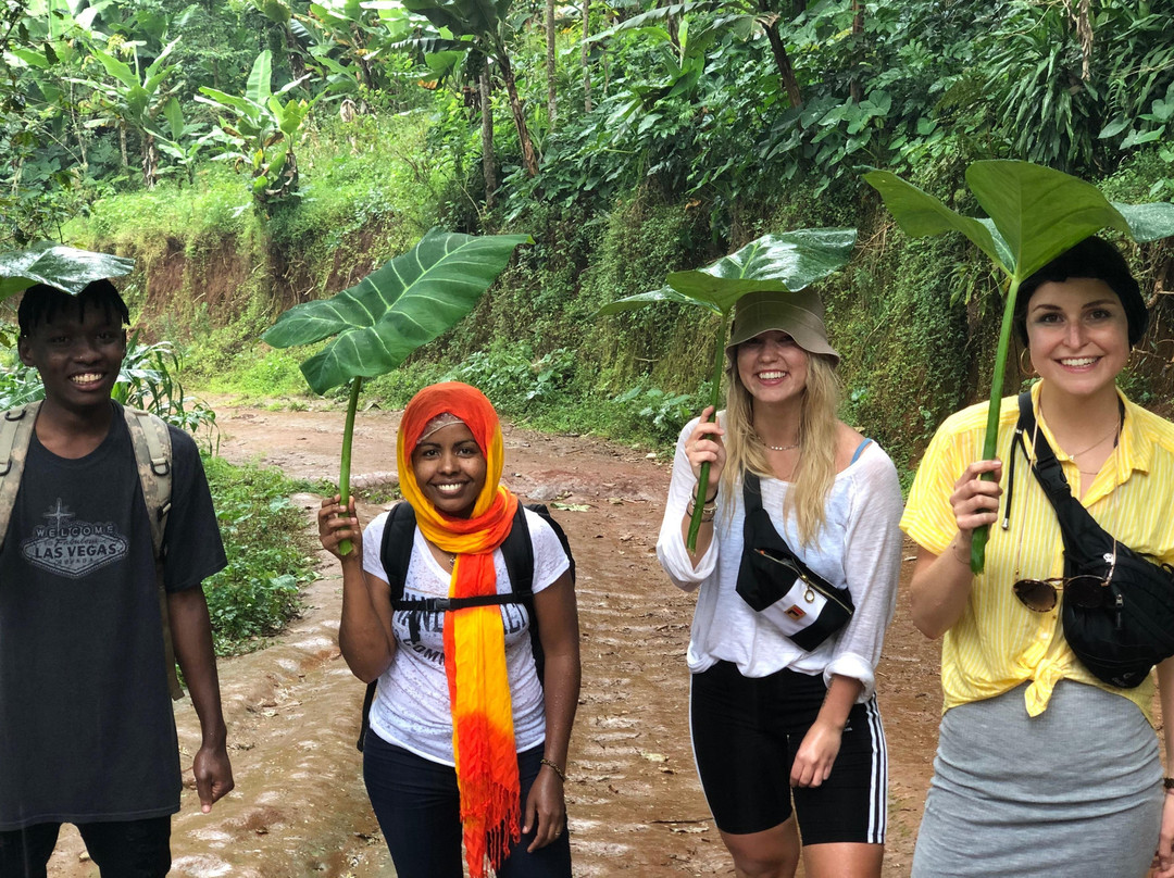 Sana Africa-阿鲁沙必去景点