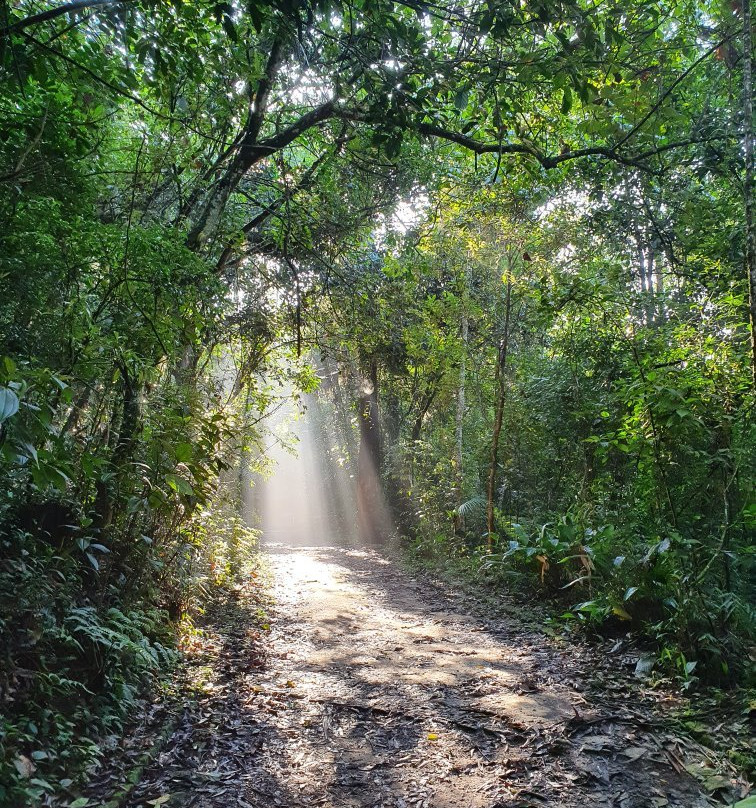 Ecological Park Alfredo Klinkert Junior-Maua必去景点