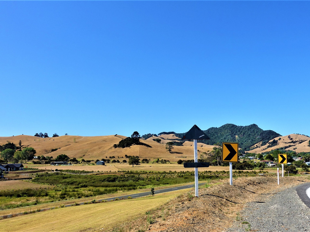 Mercury Bay-科罗曼德必去景点