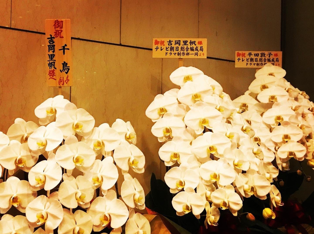 Tokyo Metropolitan Theatre景点图片