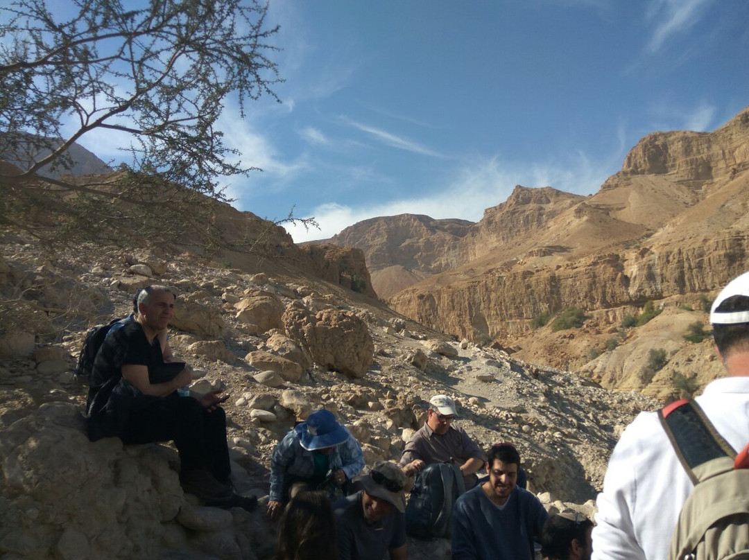 Nachal David Stream-死海地区必去景点