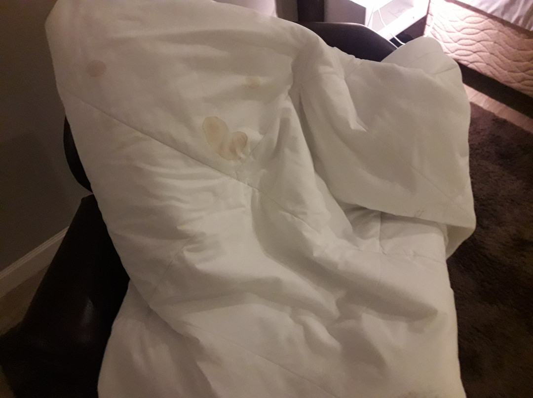 Imperatriz Hotel主图