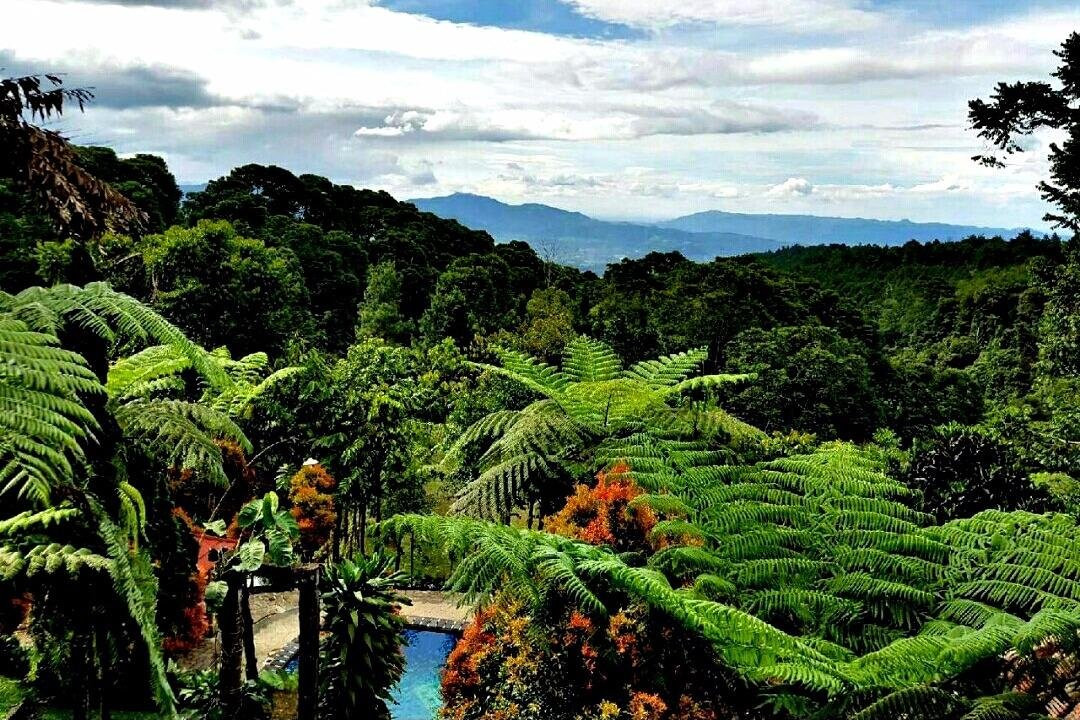 RUMAH WISATA PAKIS ASRI-茂物必去景点