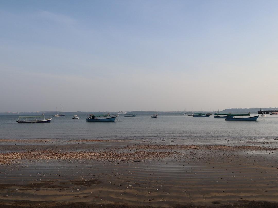 The Hawaii Comforts主图