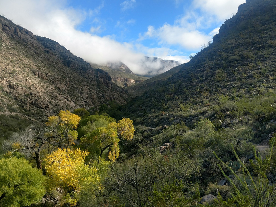 Oliver Lee Memorial State Park-阿拉莫戈多必去景点