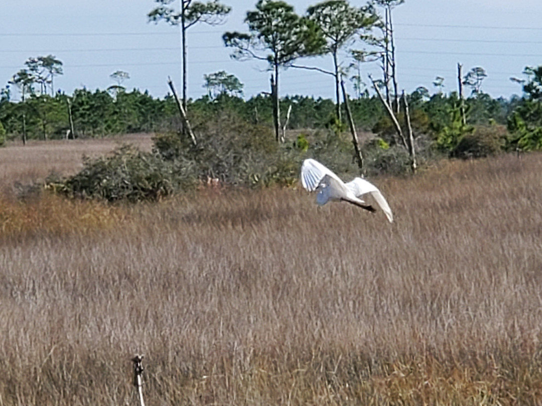 Wade Ward Nature Park-格尔夫海岸必去景点