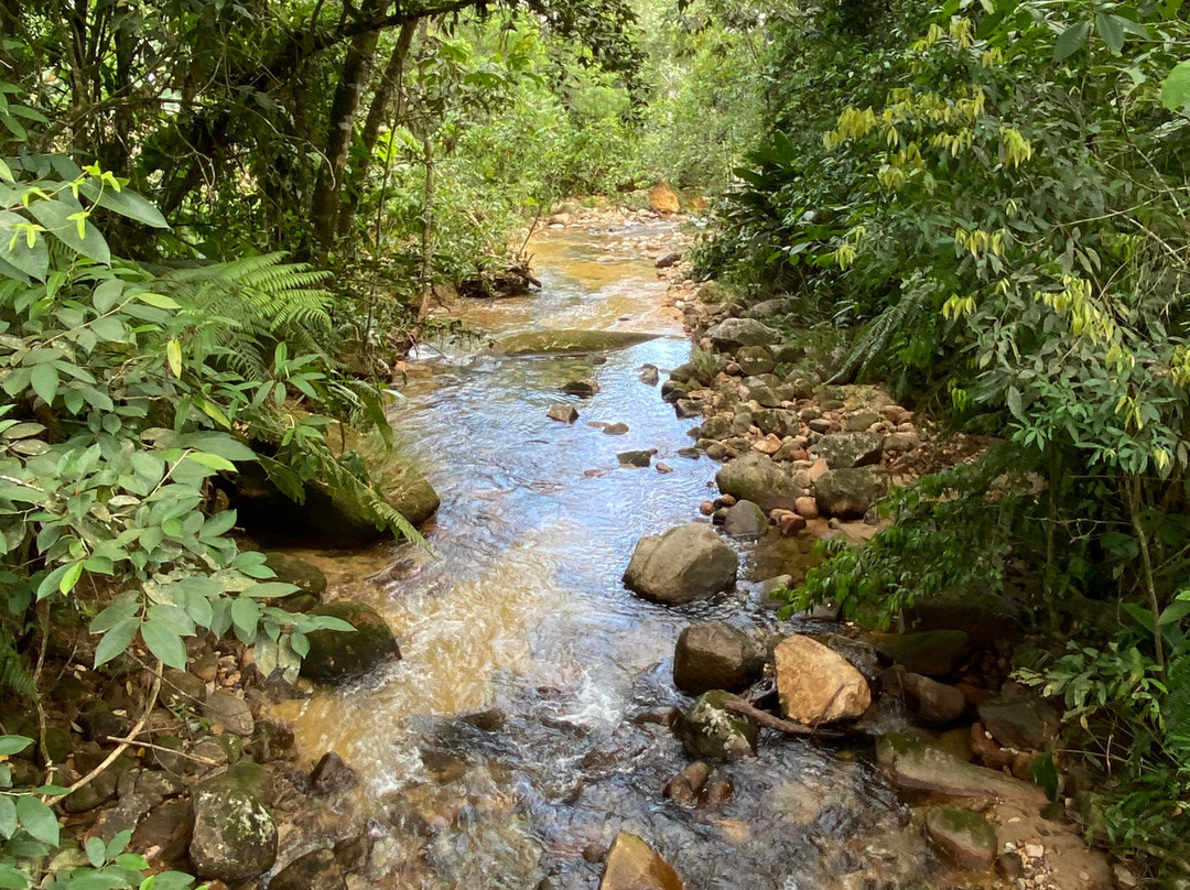 Reserva Extrativista Do Mandira-卡纳内亚必去景点