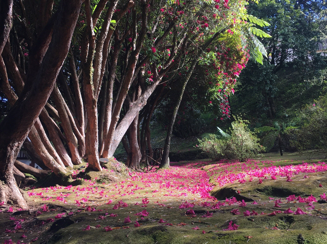 Parque Florestal das Queimadas-Santana必去景点