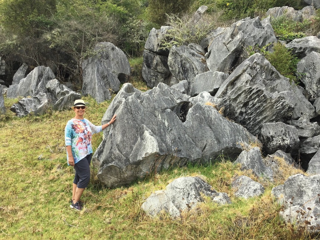 Waro Limestone Scenic Reserve Walk景点图片