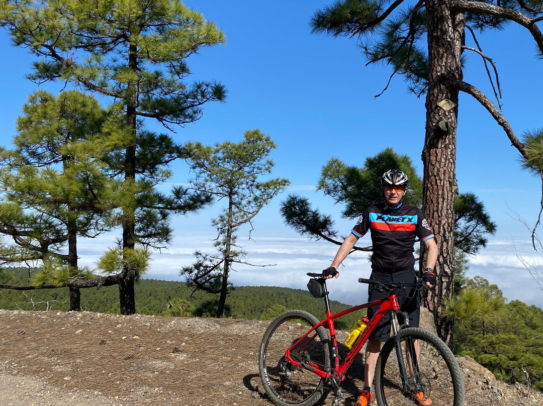Tenerife Bike Adventures-El Medano必去景点