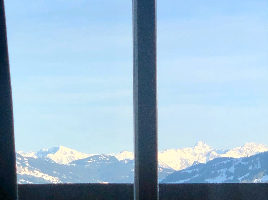 Bodele Alpenhotel主图
