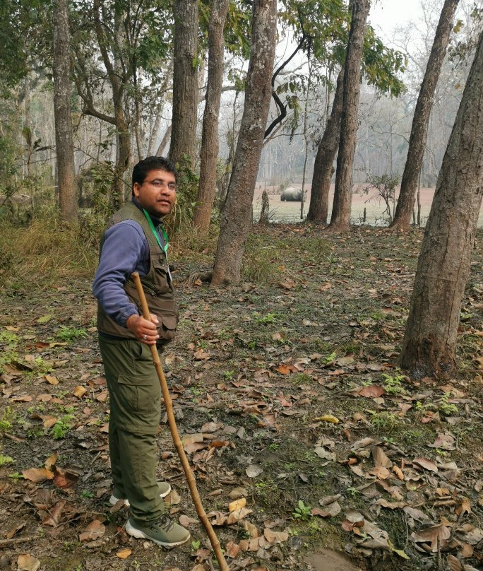 Jungle safari tours-奇旺国家公国必去景点