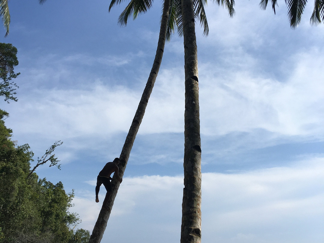 Mayalibit Bay Cottage主图