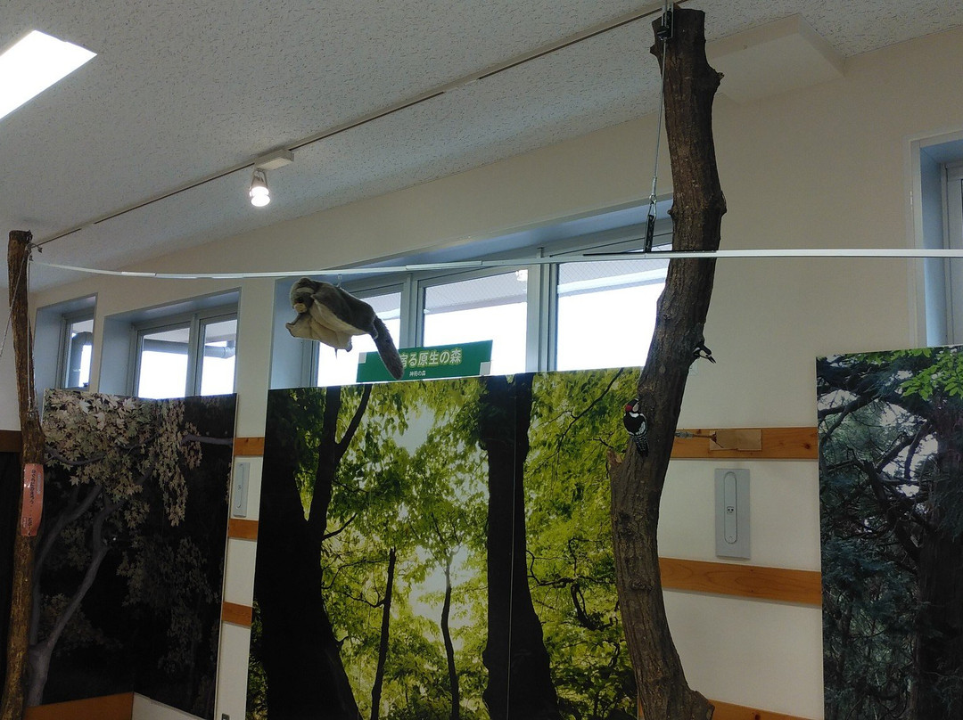 Mitake Visitor Center-青梅市必去景点