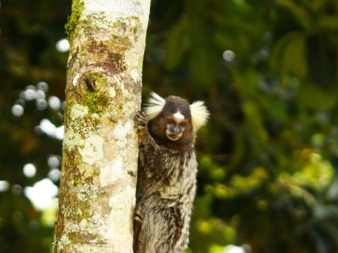 Serra dos Cavalos-Caruaru必去景点