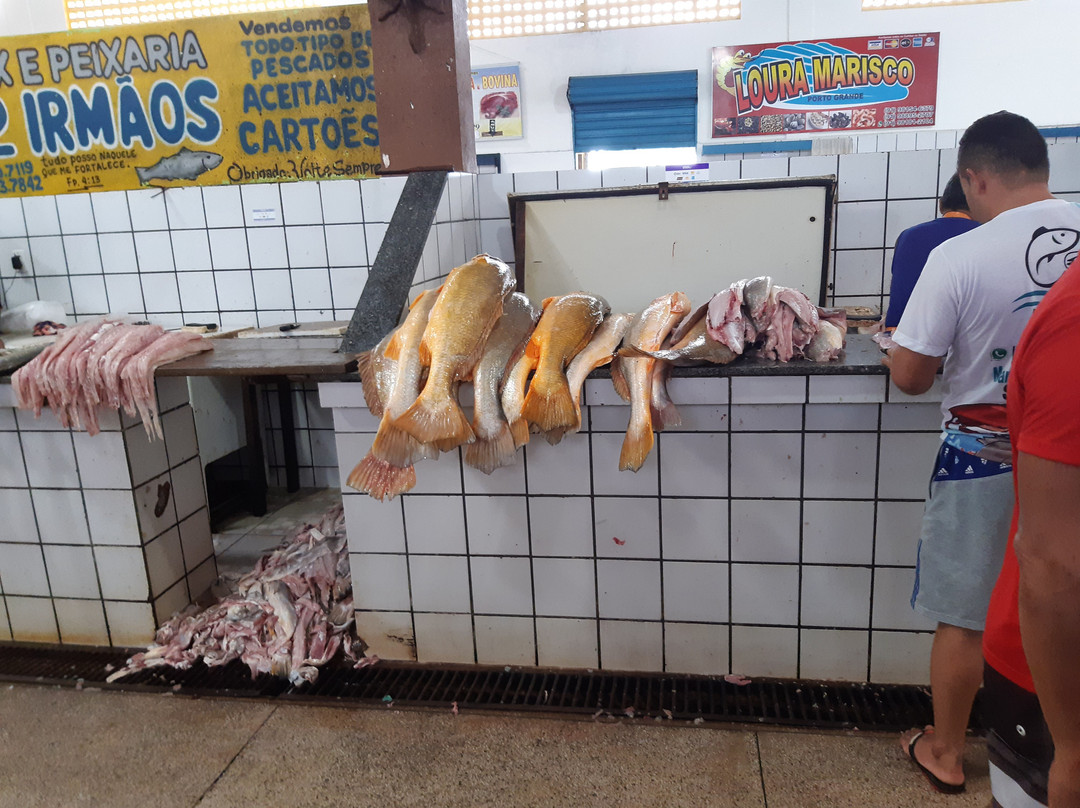 Mercado Municipal do Porto Grande-Salinopolis必去景点