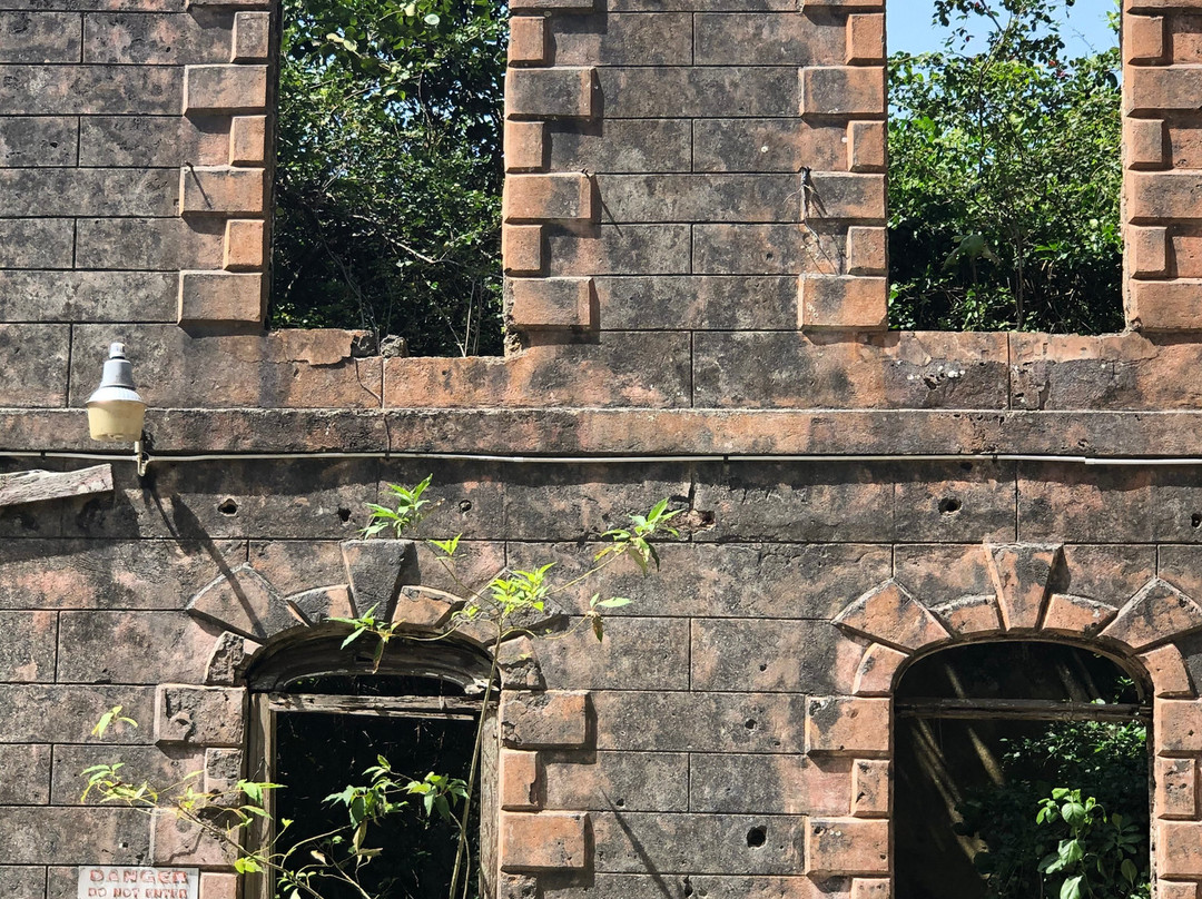 Farley Hill National Park-Saint Peter Parish必去景点