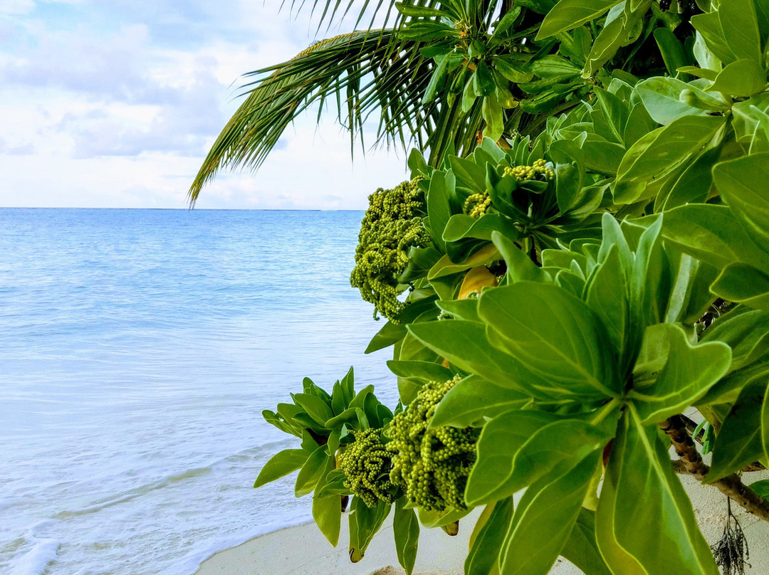 Relax Residence主图