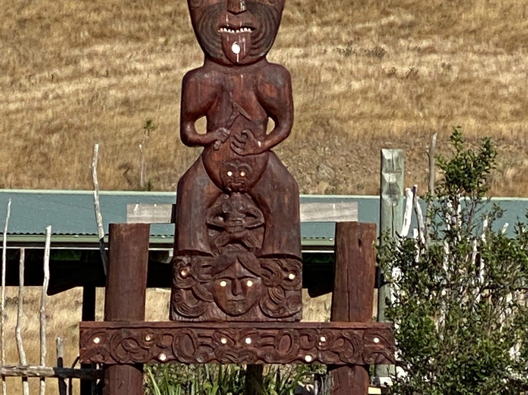 Waimarama Maori Tours景点图片