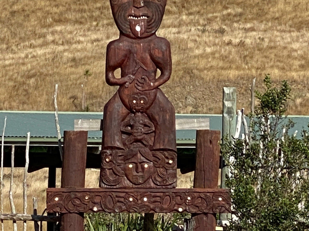 Waimarama Maori Tours-Havelock North必去景点