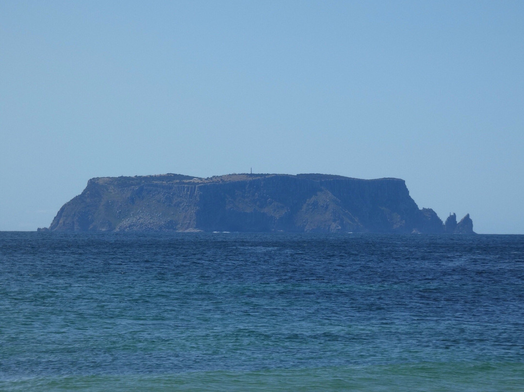 Mount Brown and Crescent Bay Walking Track-亚瑟港必去景点