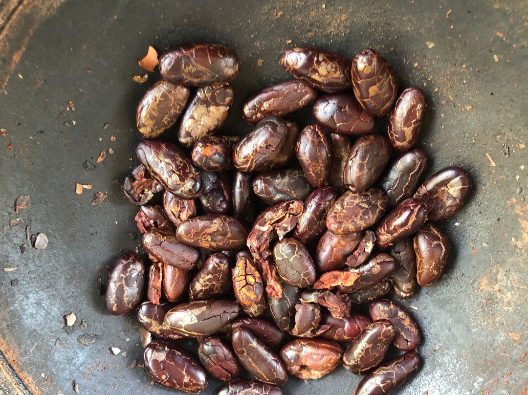 Hacienda La Danesa-瓜亚基尔必去景点