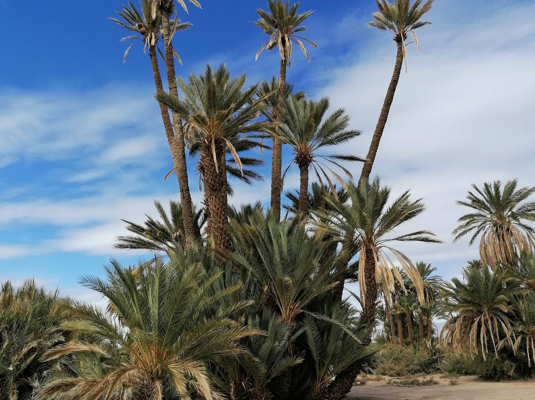 萨瓦迪酒店主图