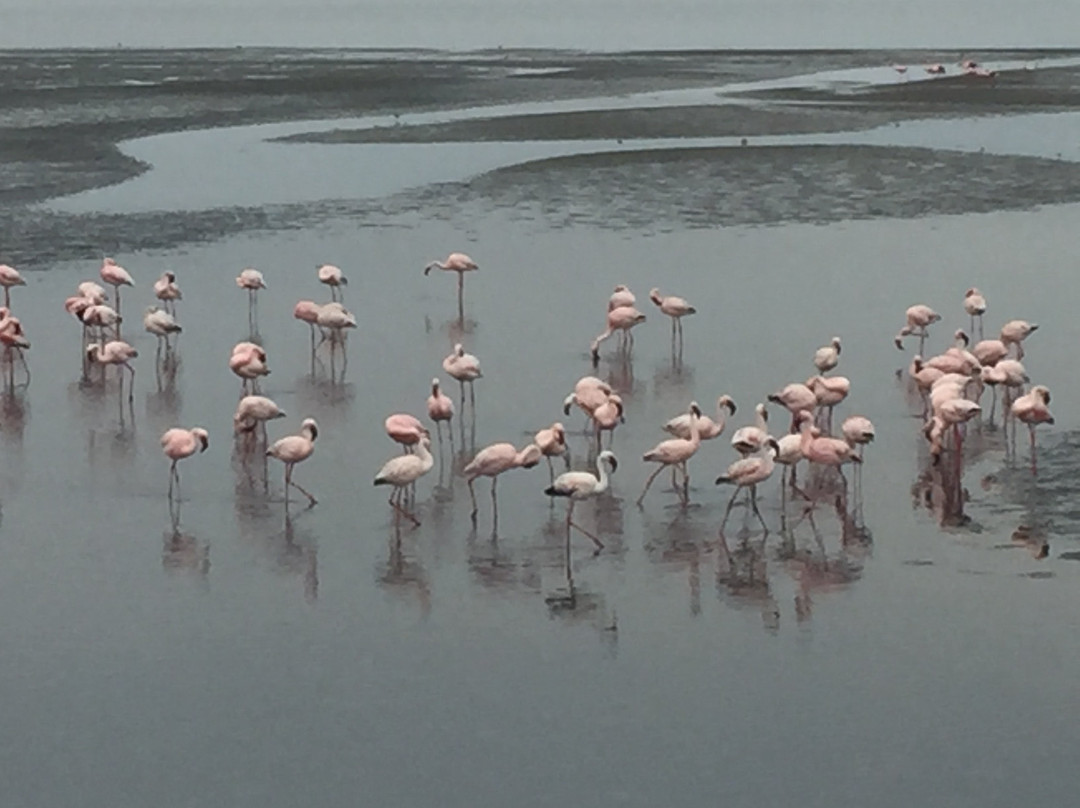 Amjicaja Guesthouse主图