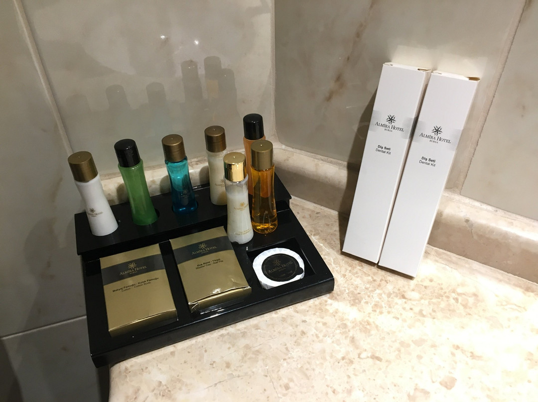 阿尔米拉酒店主图