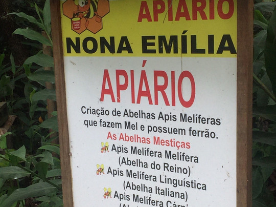 Apiario Nona Emilia-伊图佩瓦必去景点