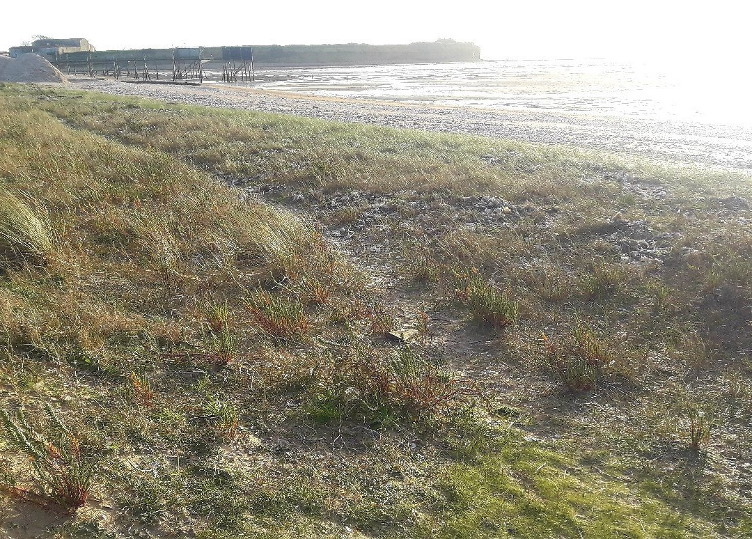 Plage du Marouillet-Yves必去景点