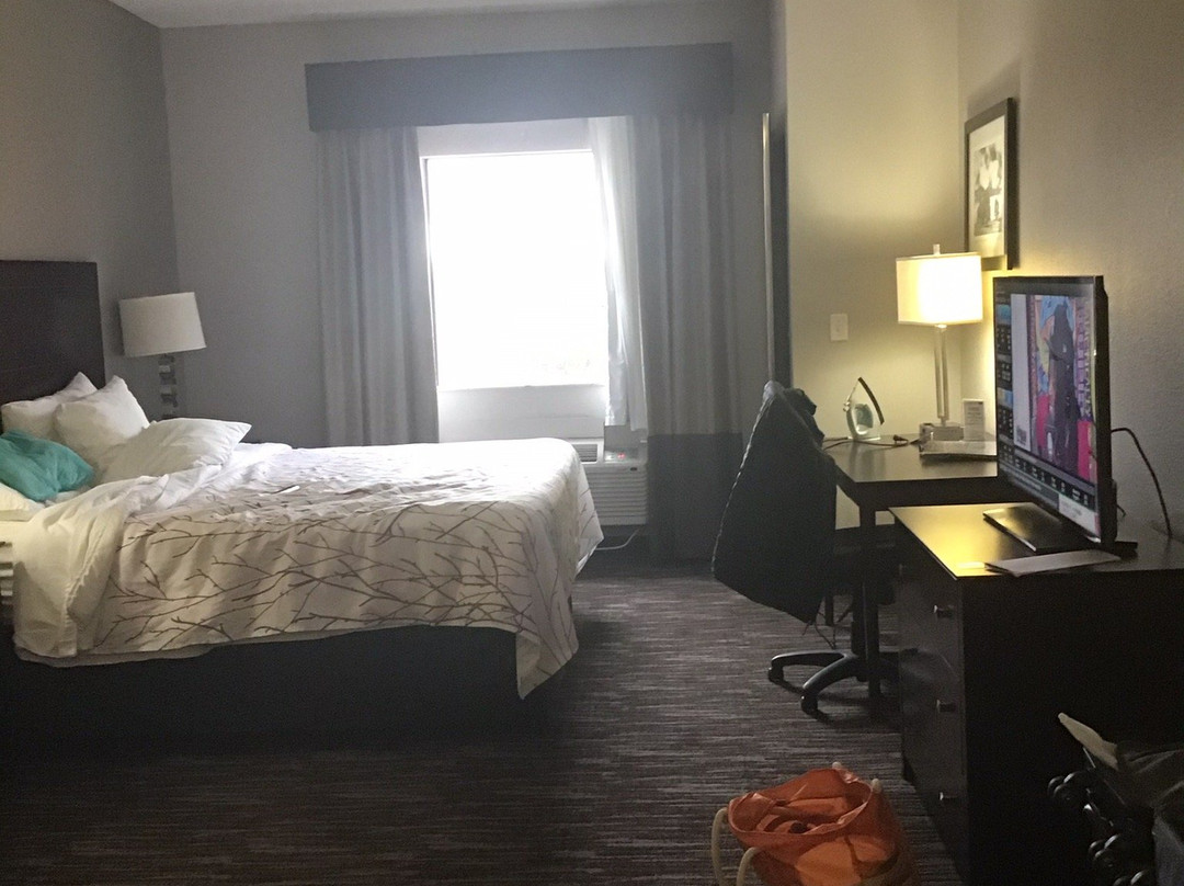 Best Western Plus University Inn & Suites主图