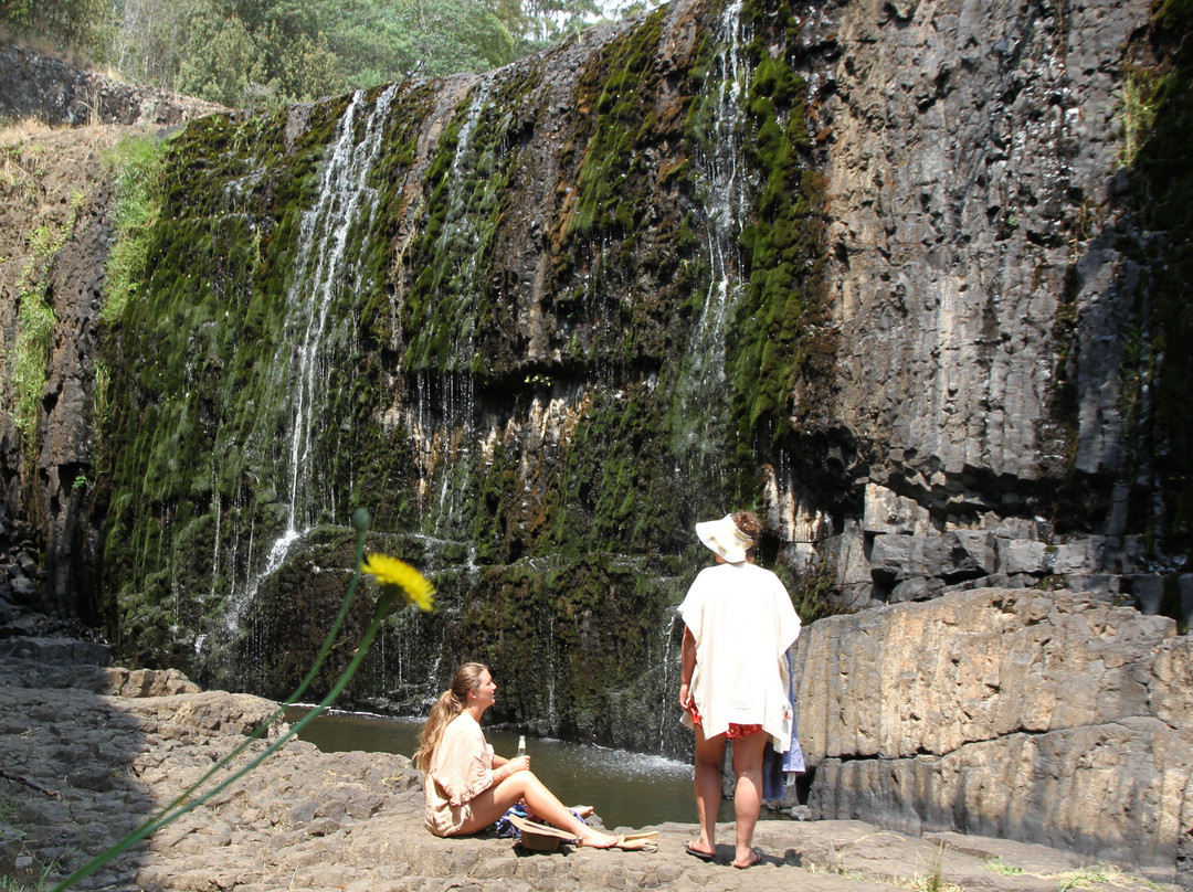 Guide Falls Reserve-伯尼必去景点