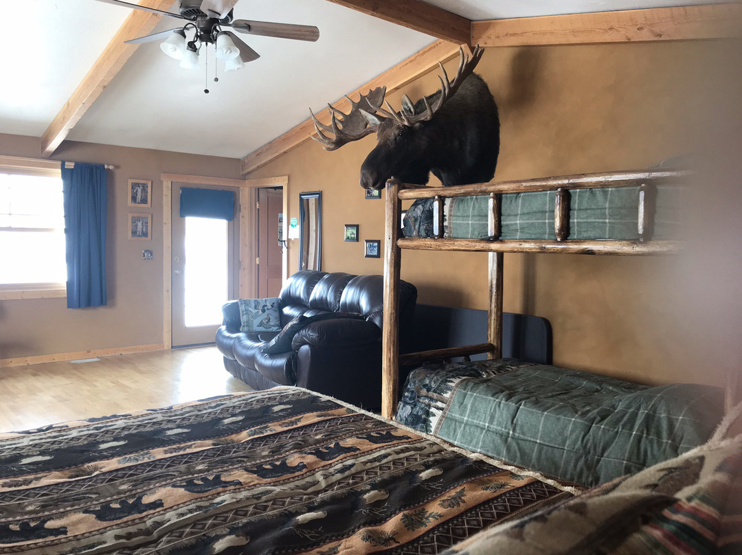 4 Bears bed and breakfast主图