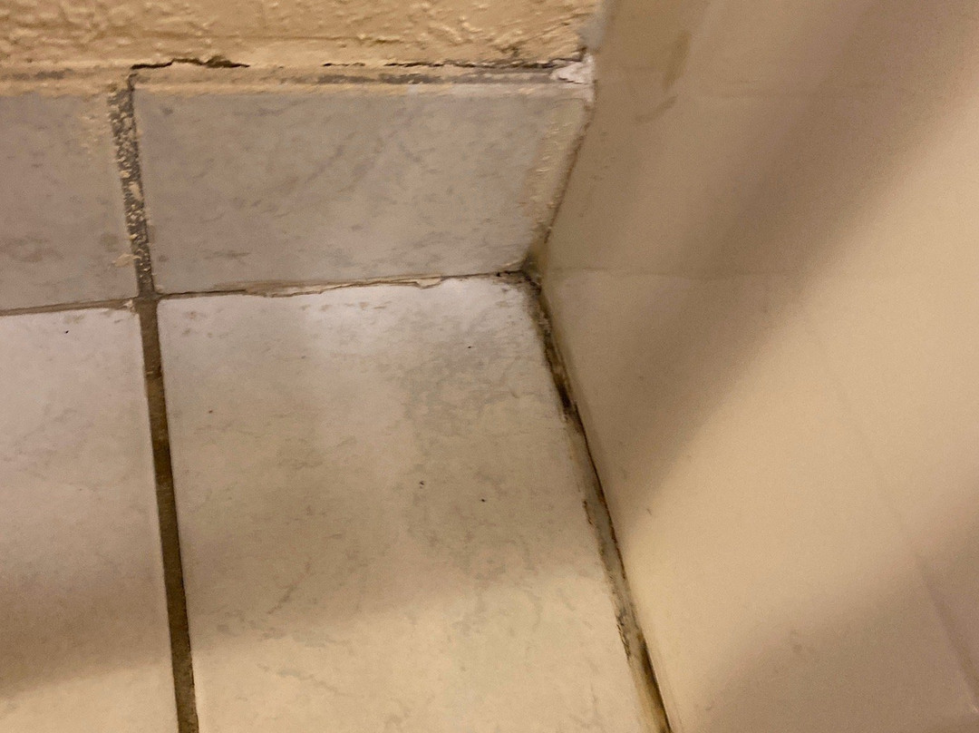 Baymont by Wyndham Muskegon主图