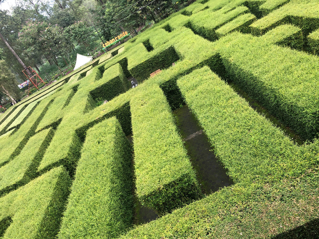 Coban Rondo Waterfall景点图片