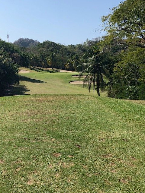 Campo de Golf Ixtapa-印坦巴/芝华塔尼欧必去景点