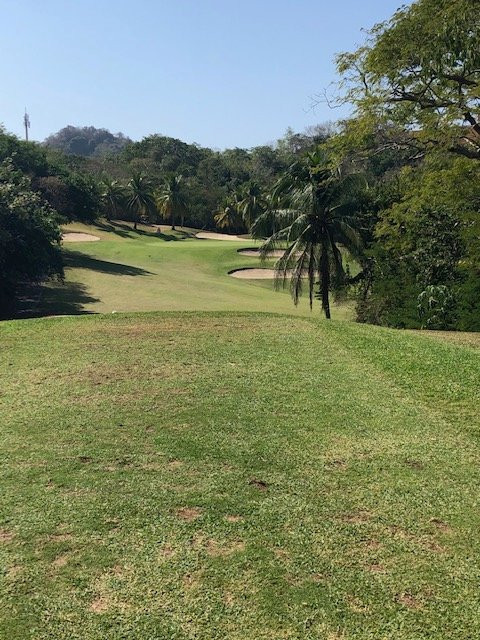 Campo de Golf Ixtapa景点图片