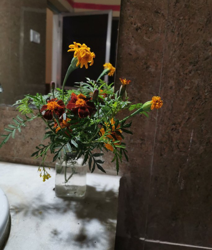 Zorba the Buddha主图