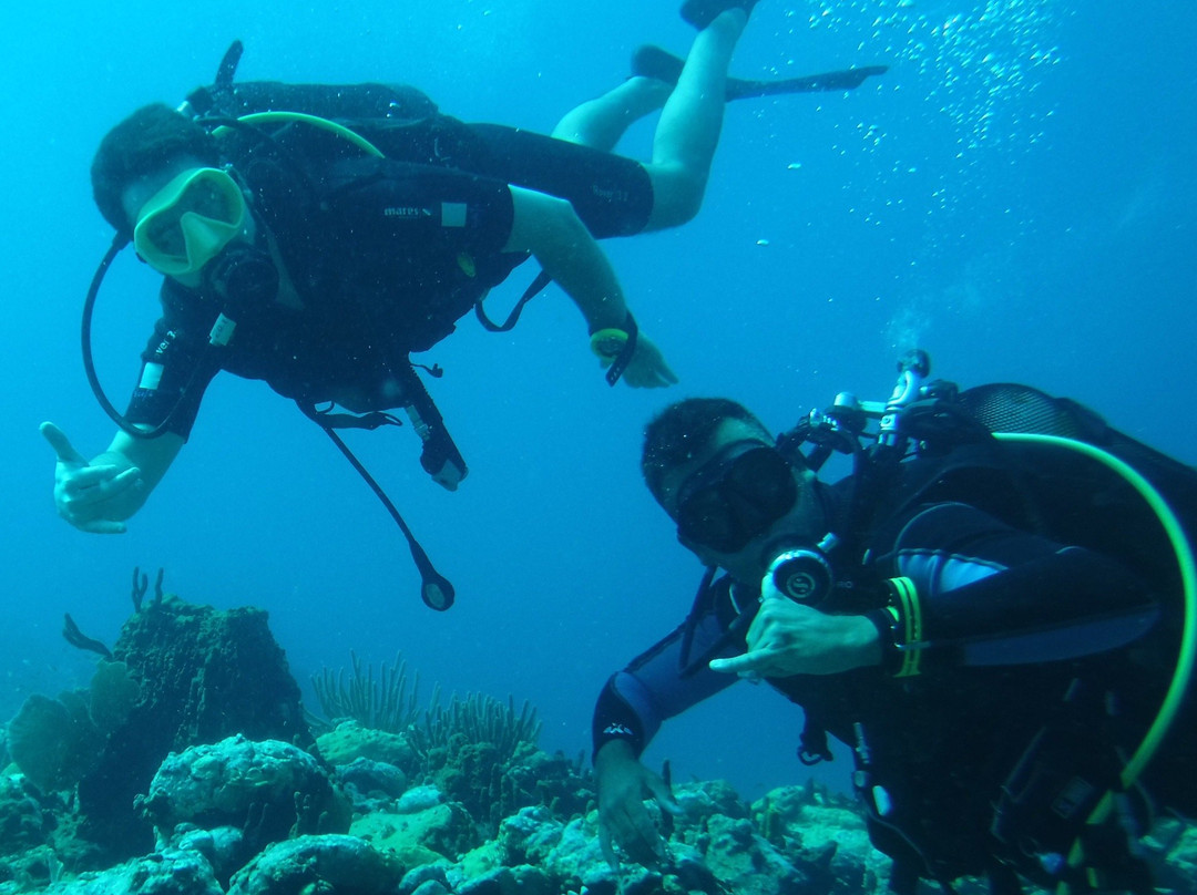 Pisquettes Plongée-Terre-de-Haut必去景点